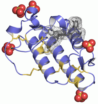 Image Asym./Biol. Unit - manually