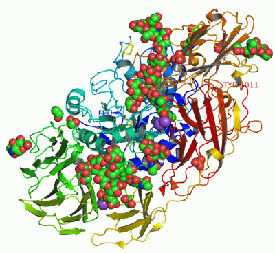 Image Asym./Biol. Unit - manually