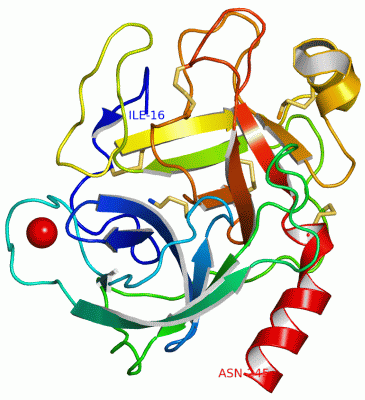 Image Asym./Biol. Unit - manually