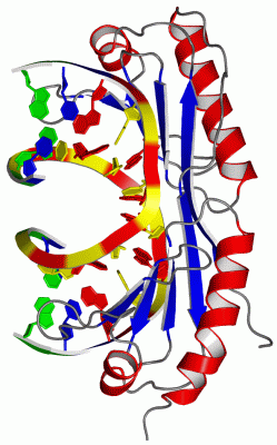 Image Asym./Biol. Unit - manually