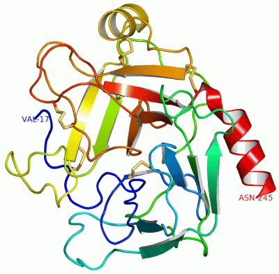 Image Asym./Biol. Unit - manually