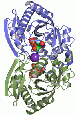 Image Asym.Unit - manually