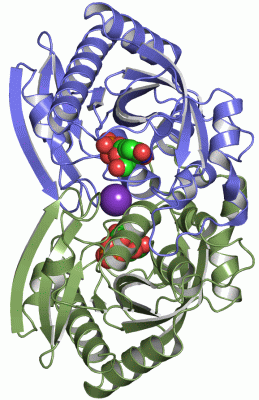 Image Asym.Unit - manually