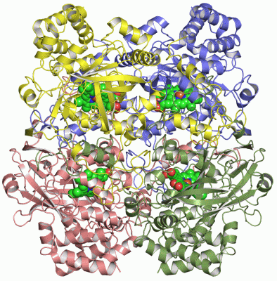 Image Asym./Biol. Unit - manually