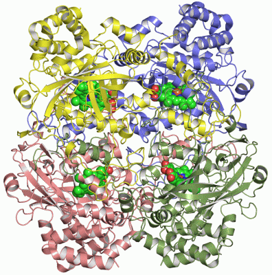 Image Asym./Biol. Unit - manually