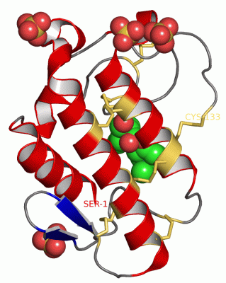 Image Asym./Biol. Unit - manually