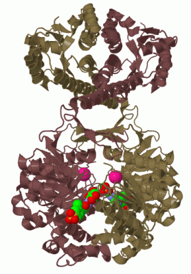 Image Asym./Biol. Unit - manually