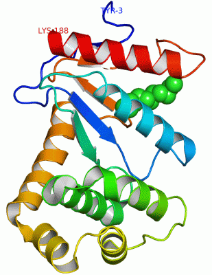 Image Asym./Biol. Unit - manually