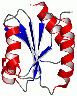 Image NMR Structure - manually