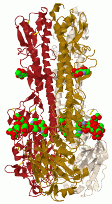 Image Biol.Unit 1 - manually