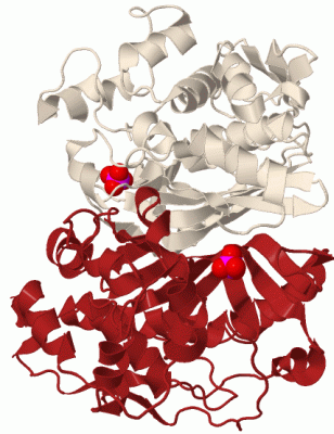 Image Biol.Unit 1 - manually