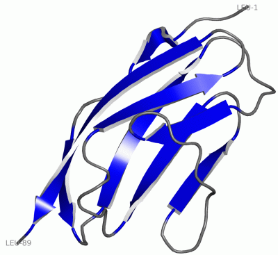 Image NMR Structure - manually