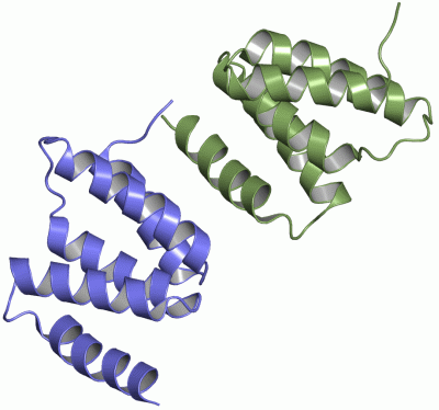 Image Asym./Biol. Unit - manually