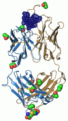 Image Asym./Biol. Unit - manually