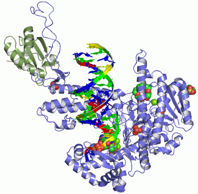 Image Asym./Biol. Unit - manually