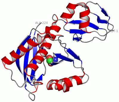 Image Asym./Biol. Unit - manually