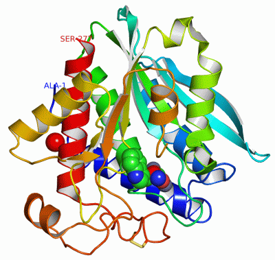 Image Asym./Biol. Unit - manually