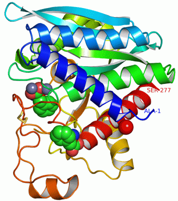 Image Asym./Biol. Unit - manually