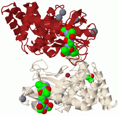 Image Biol.Unit 1 - manually