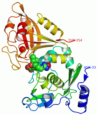 Image Asym./Biol. Unit - manually