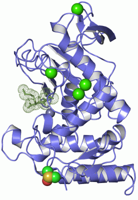 Image Asym./Biol. Unit - manually