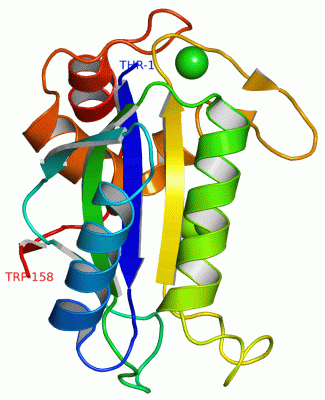 Image Asym./Biol. Unit - manually