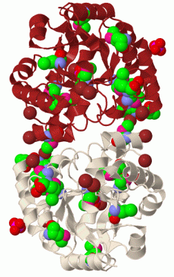 Image Biol.Unit 1 - manually