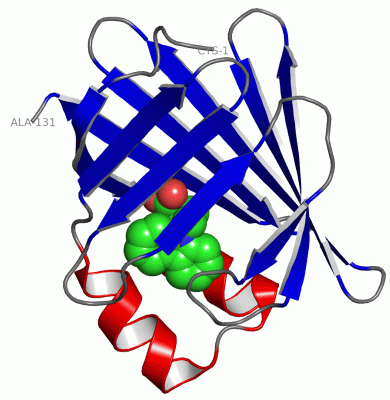 Image Asym./Biol. Unit - manually