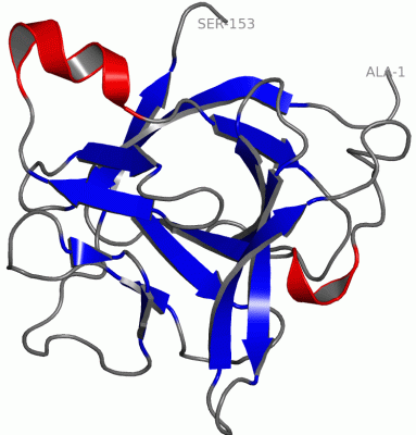 Image Asym./Biol. Unit - manually