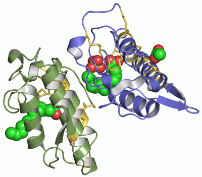 Image Asym./Biol. Unit - manually