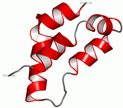 Image NMR Structure - manually