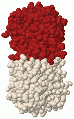 Image Biol.Unit 1 - manually