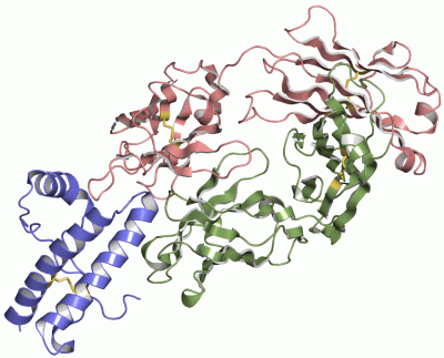 Image Asym./Biol. Unit - manually