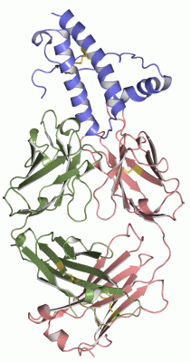 Image Asym./Biol. Unit - manually