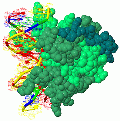 Image Biol.Unit 1 - manually