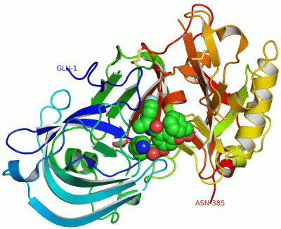 Image Asym./Biol. Unit - manually