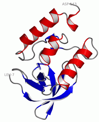 Image Asym./Biol. Unit - manually