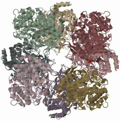 Image Biol.Unit 1 - manually