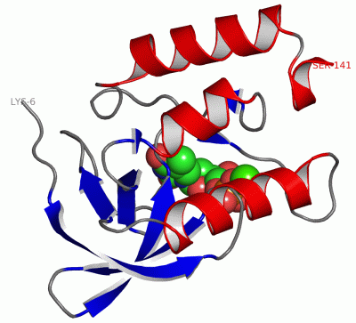 Image Asym./Biol. Unit - manually