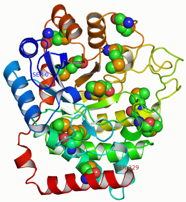 Image Asym./Biol. Unit - manually