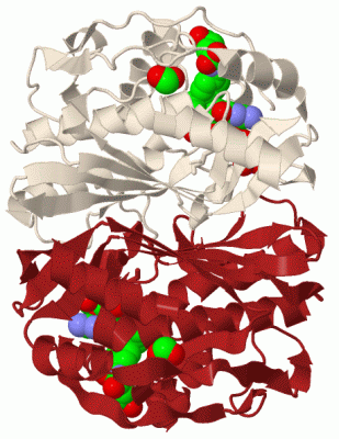 Image Biol.Unit 1 - manually