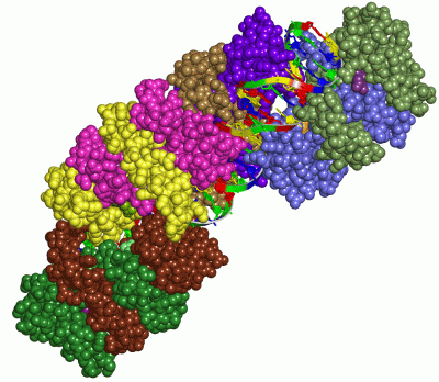 Image Biol.Unit 1 - manually