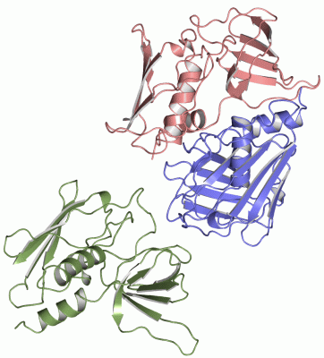 Image Asym.Unit - manually