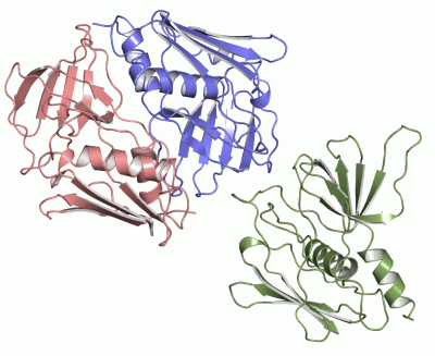 Image Asym.Unit - manually