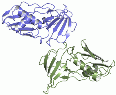 Image Asym.Unit - manually