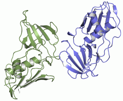 Image Asym.Unit - manually
