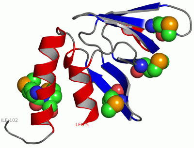 Image Asym./Biol. Unit - manually