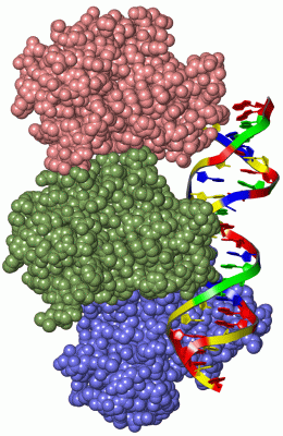 Image Asym./Biol. Unit - manually