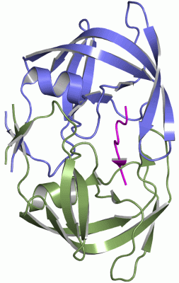 Image Asym./Biol. Unit - manually