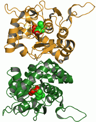 Image Asym./Biol. Unit - manually